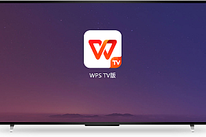 WPS如何使用【投影】功能?