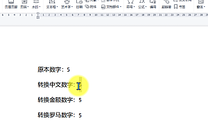 WPS文档中的数字如何转换数字类型?