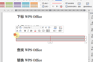 wps如何设置文档的表格边框?